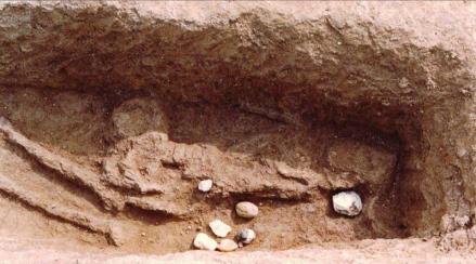 涂家台遗址——墓葬