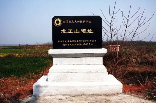 龙王山遗址 龙王山遗址