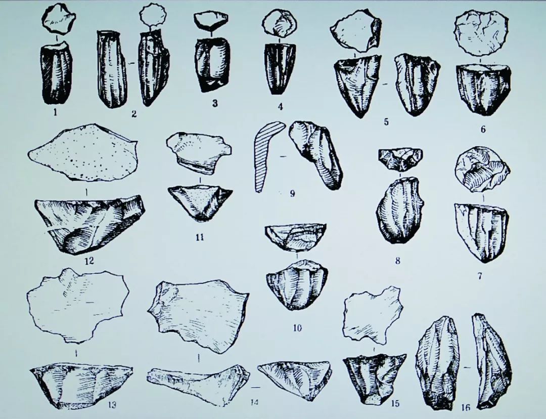 中子铺细石器石核标本绘图