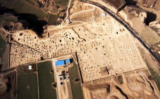 大河口遗址 大河口遗址