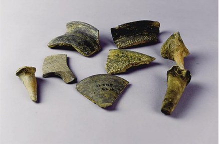 淮阳双冢遗址出土陶片