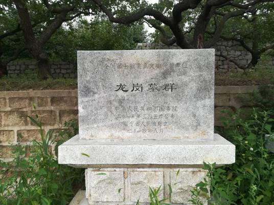 龙岗墓群 龙岗墓群