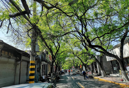 长辛店街道长辛店大街