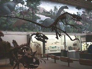 皮柏第博物馆(Peabody Museum)