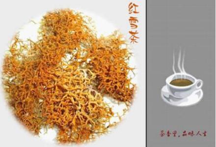 康定红雪茶