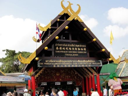 曼谷北揽鳄鱼潭