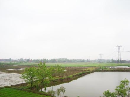 丁家岗遗址全景