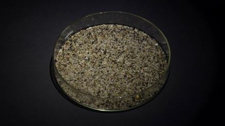 舍利（2016年12月拍摄）