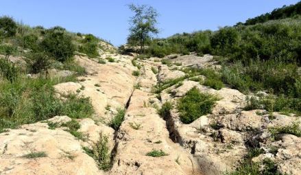 崤函古道石壕段车辙痕迹