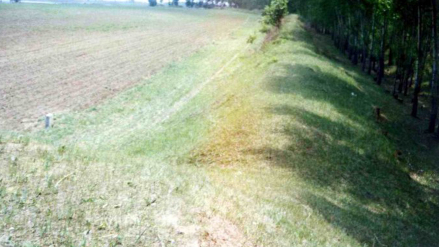 桃温万户府故城