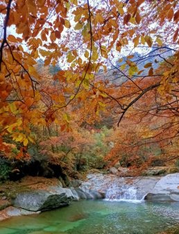 光雾山国家AAAAA级旅游景区风光