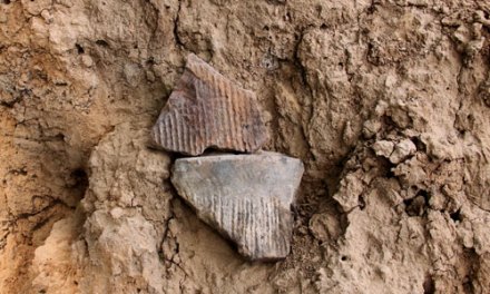 阿岗寺遗址陶片