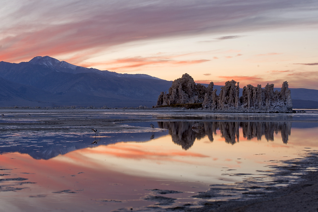 莫诺湖石灰华国家自然保护区