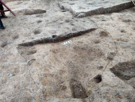 浅地穴窝棚式建筑遗迹（H194）