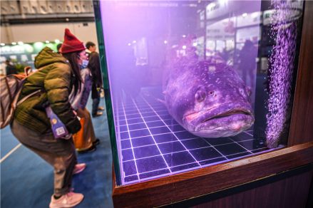 国际热带农产品冬季交易会现场 