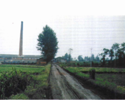 绵竹故城遗址南城墙