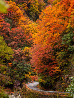 光雾山国家AAAAA级旅游景区风光