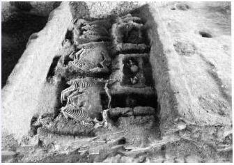 纪王崮墓车马坑