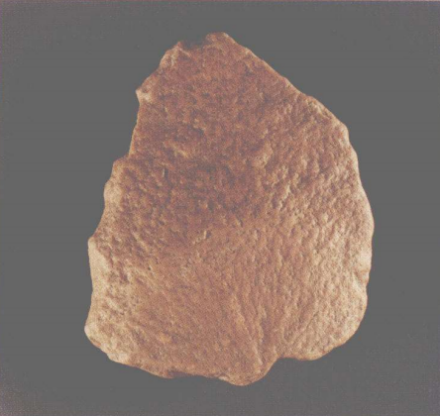 西侯度遗址出土石片砍斫器