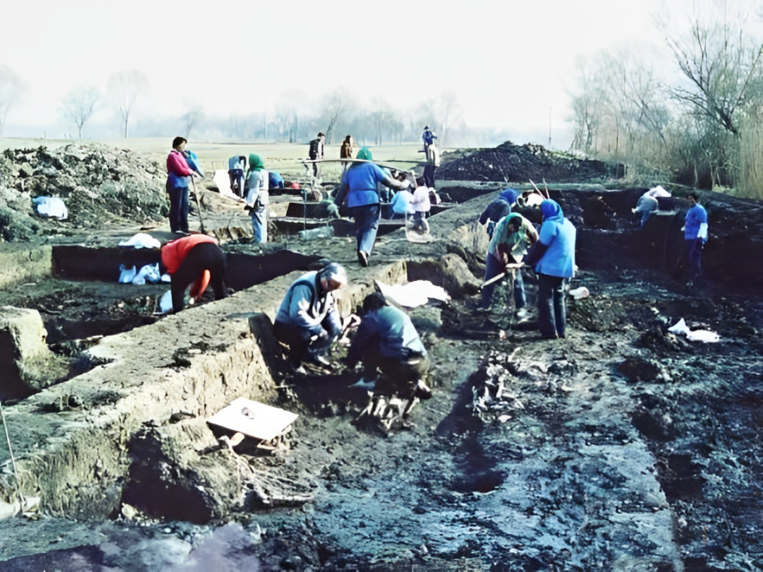 挖掘龙虬庄遗址时的历史照片