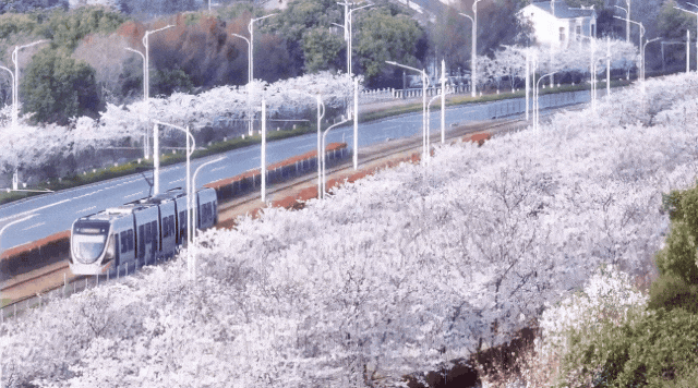 苏州高新有轨电车1号线