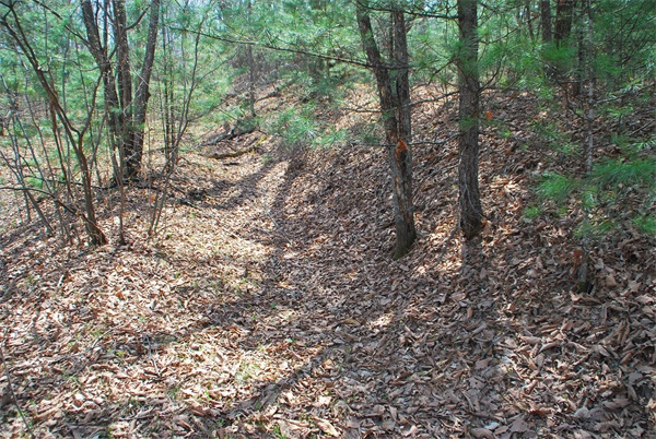 牡丹江边墙-土墙