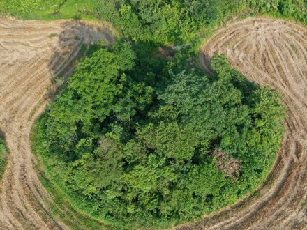 春城土墩墓群俯瞰图