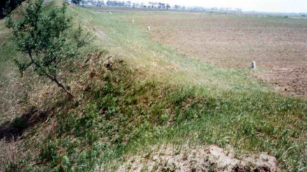 桃温万户府故城