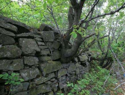 锅盔山山城遗址