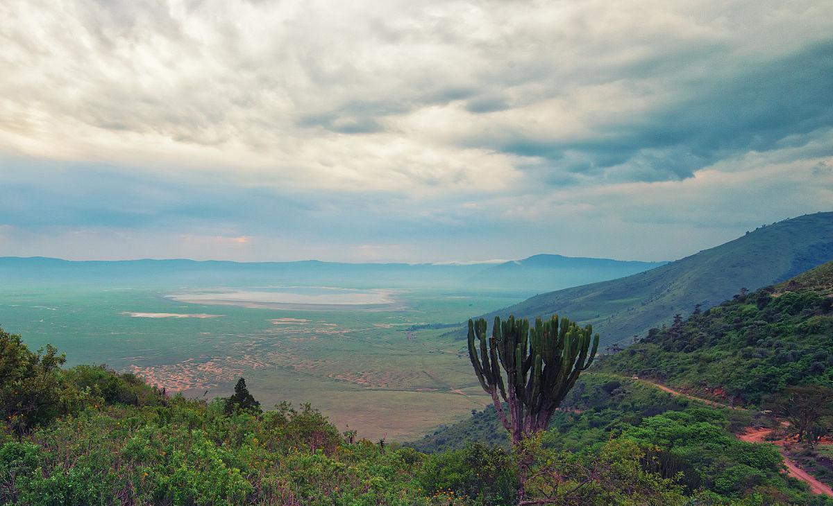 恩戈罗恩戈罗自然保护区