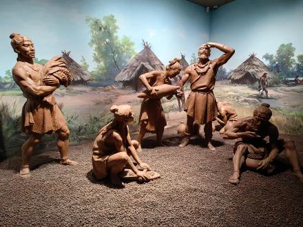 庙底沟居民的生活图景