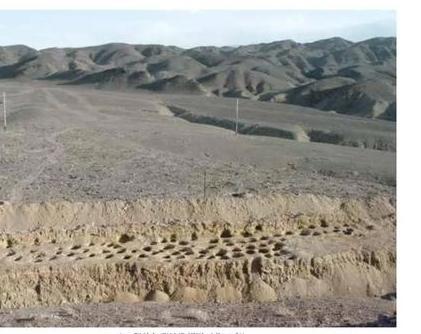 拜其尔墓地墓挖掘区