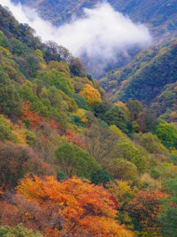 光雾山国家AAAAA级旅游景区风光