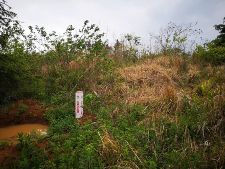 春城土墩墓群近景
