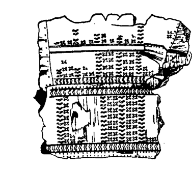 中兴城址出土桦皮桶残片