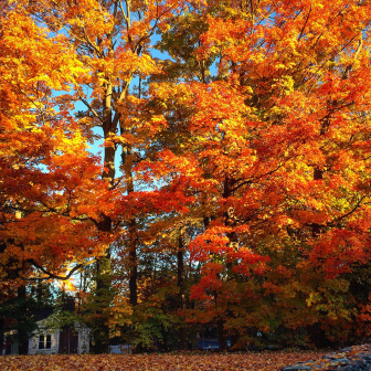 秋意盎然的费尔菲尔德市