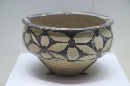 庙底沟遗址出土彩陶盆 国家博物馆藏