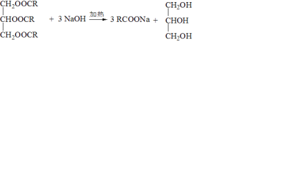 皂化反应方程式