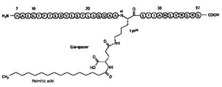 利拉鲁肽化学结构式