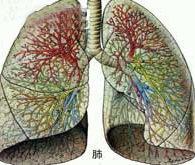 肺炎链球菌肺炎