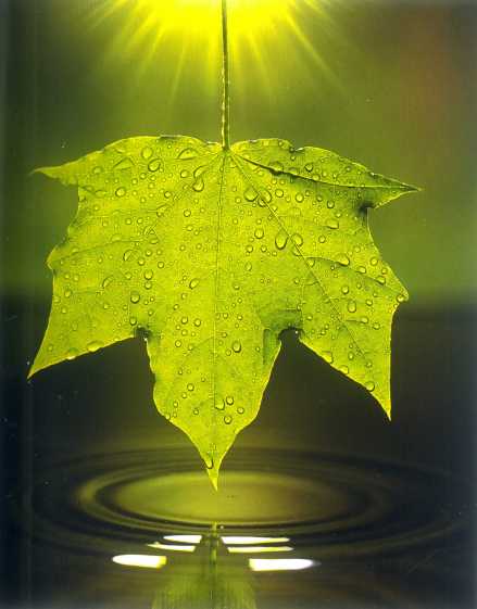 保险为幸福保驾护航