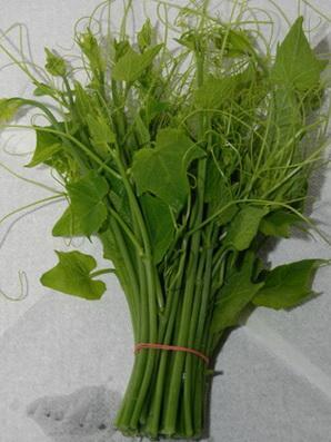 龙须草