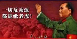 纸老虎