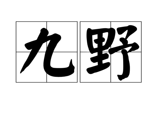 九野