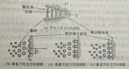 图2 微裂纹增长机理示意图