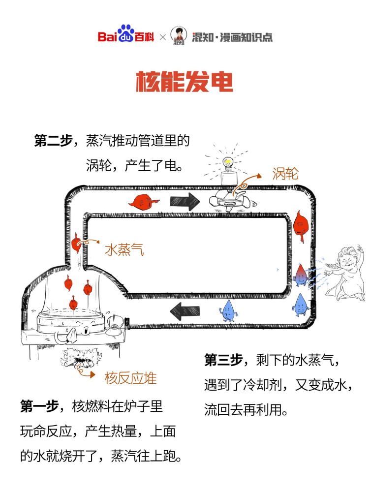 百科x混知：图解核能发电