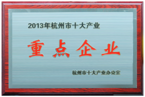十大产业重点企业
