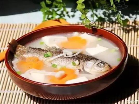鲤鱼豆腐汤