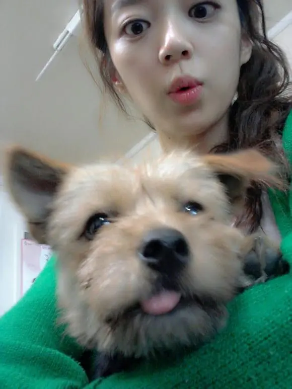 宋智仁 宋智仁