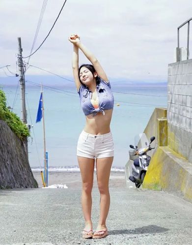 南真菜果 南真菜果